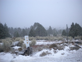 DSCN9531.JPG
